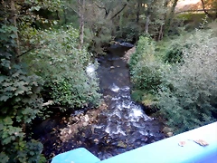 DSCN0645 DSCN0645