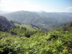 DSCN3779 DSCN3779