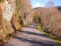 DSCN0498 DSCN0498