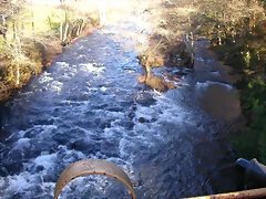 DSCN0502 DSCN0502