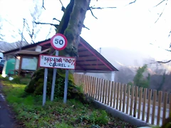 DSCN0552 DSCN0552