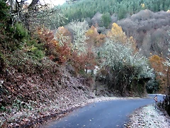 IMG_0204 IMG_0204