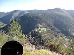 IMG_0219 IMG_0219
