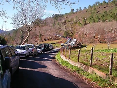 DSCN0386 DSCN0386