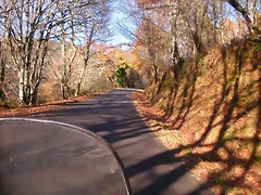 DSCN0509 DSCN0509