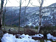 DSCN0595 DSCN0595