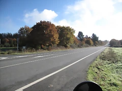 IMG_0156 IMG_0156