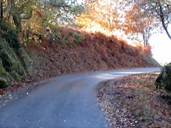 IMG_0206 IMG_0206