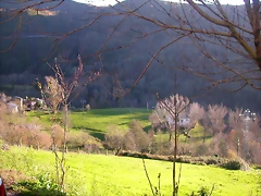 DSCN0514 DSCN0514