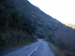 DSCN0550 DSCN0550