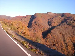 DSCN0556 DSCN0556