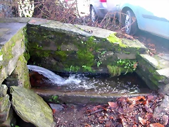 DSCN0388 DSCN0388
