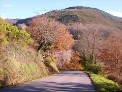 DSCN0499 DSCN0499
