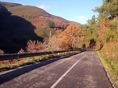 DSCN0523 DSCN0523