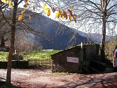 DSCN0384 DSCN0384