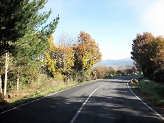 IMG_0157 IMG_0157