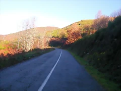 DSCN0527 DSCN0527