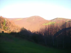 DSCN0567 DSCN0567
