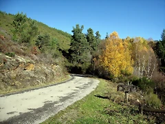 IMG_0215 IMG_0215