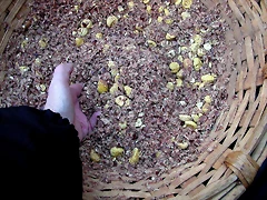 DSCN0395 DSCN0395