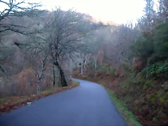 DSCN0510 DSCN0510