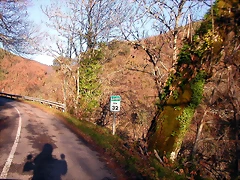 DSCN0549 DSCN0549