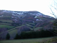 DSCN0584 DSCN0584