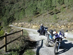 IMG_0223 IMG_0223