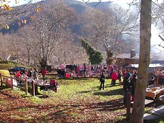 DSCN0387 DSCN0387