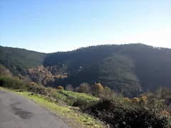 IMG_0188 IMG_0188
