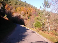 DSCN0462 DSCN0462