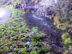 DSCN0476 DSCN0476