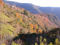 DSCN0477 DSCN0477