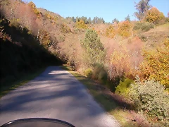 DSCN0478 DSCN0478
