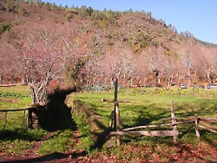 DSCN0435 DSCN0435
