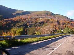 DSCN0526 DSCN0526