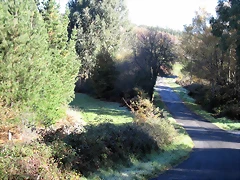 IMG_0183 IMG_0183