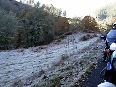 IMG_0202 IMG_0202