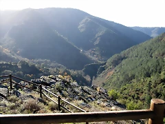 IMG_0222 IMG_0222