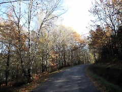 IMG_0172 IMG_0172