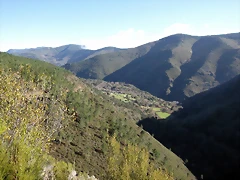 IMG_0224 IMG_0224