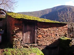 DSCN0403 DSCN0403