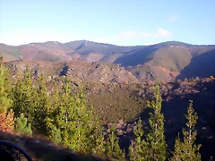DSCN0455 DSCN0455
