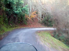 DSCN0464 DSCN0464