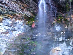 DSCN0475 DSCN0475