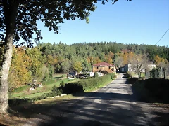 IMG_0175 IMG_0175
