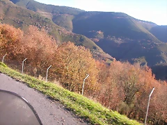 DSCN0481 DSCN0481