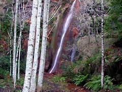 DSCN0495 DSCN0495