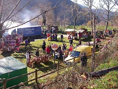 DSCN0380 DSCN0380