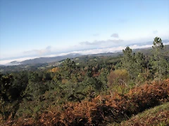 IMG_0176 IMG_0176